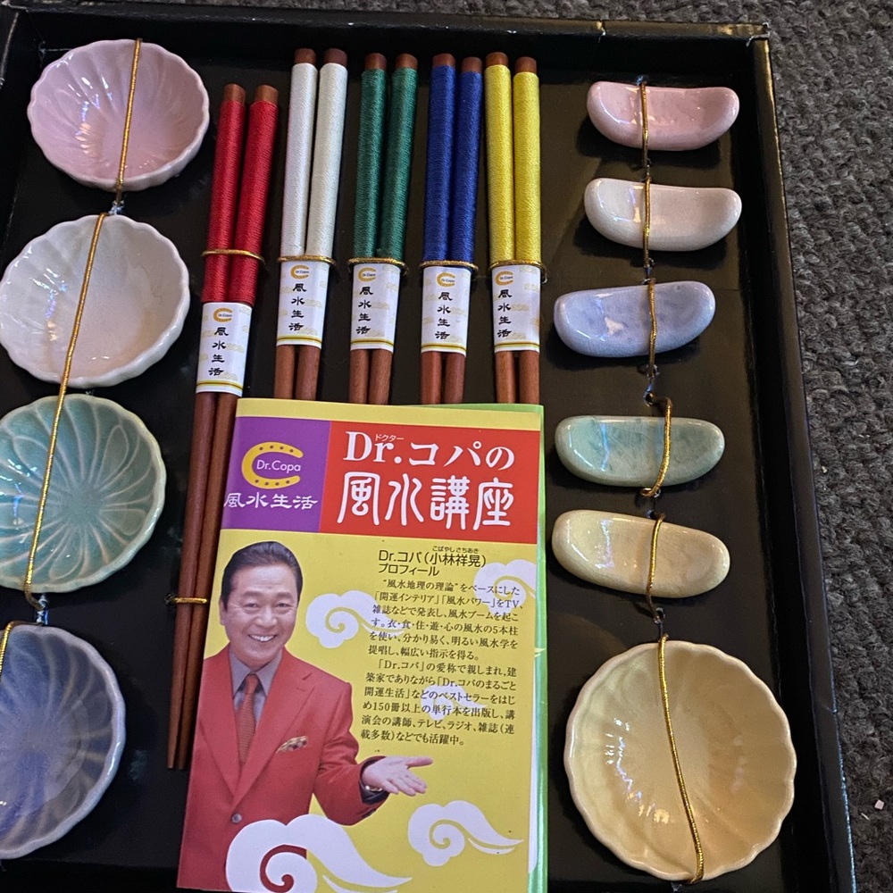 Beautiful new chop stick set